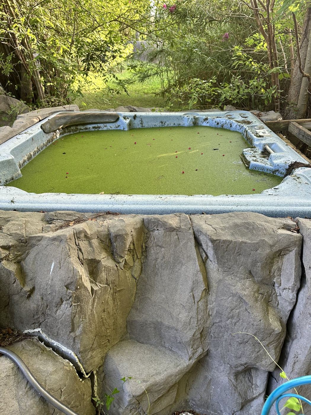 Close view of an old hot tub with green water before removal